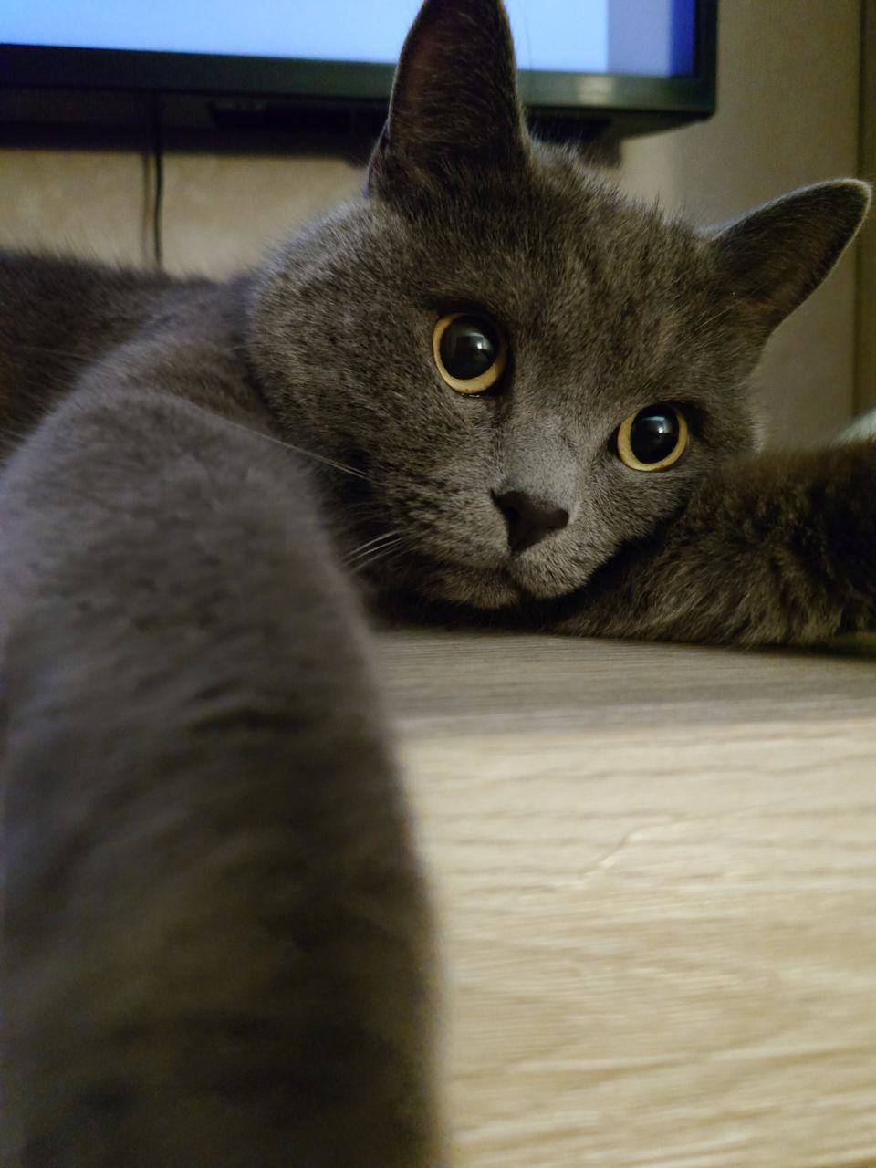 Финальное фото